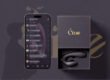 Smartphone fan comments turning into custom branded sex toy packaging for OnlyFans KOLs