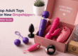Top selling adult toys for new dropshippers in 2026 product guide with wholesale product selection